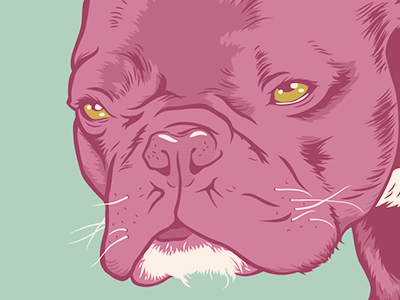 Annoyed French Bulldog animal dog face illustration