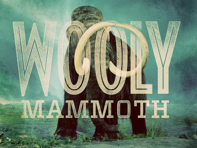 Wooly Mammoth Dribbbs yeah thats right.