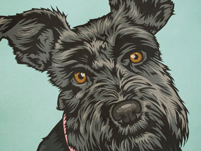 Dog Illustration canine doodles illustration portrait