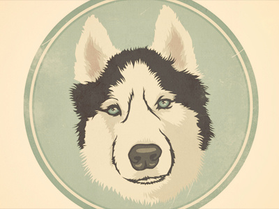 HuskyPup dog illustration portrait