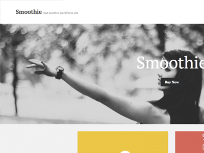 'Smoothie' WP Theme clean minimal portfolio premium theme wordpress theme