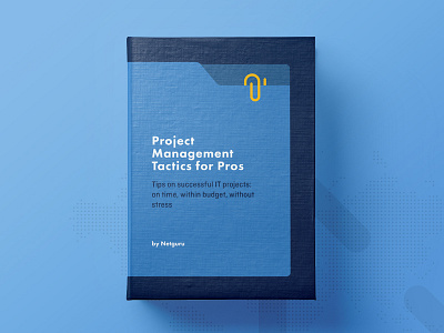 PM Ebook book ebook pm project managment report