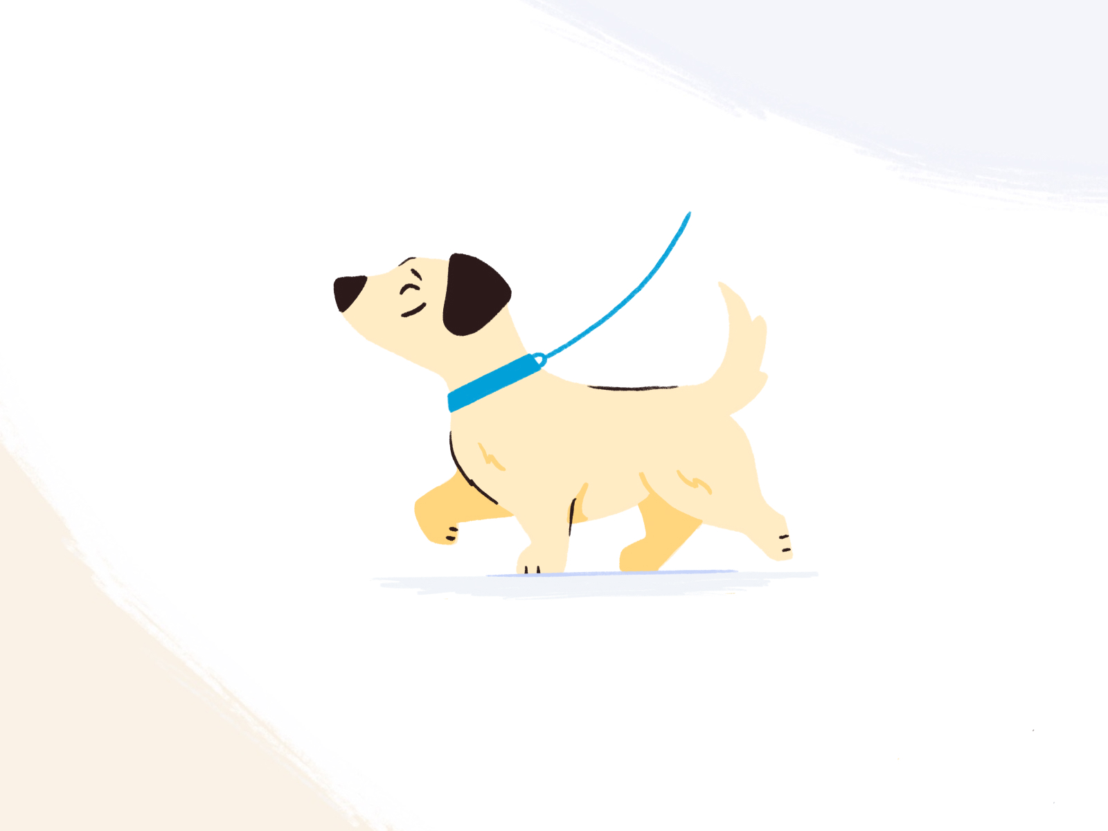 Dog Walking Landing Page Services by Rachouan Rejeb on Dribbble