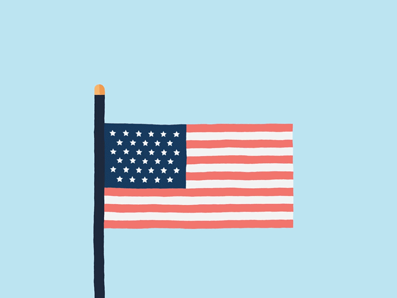 American flagged inspired by Rocky Roark 4thofjulywasyesterday animation cartoon flat murica wiggle
