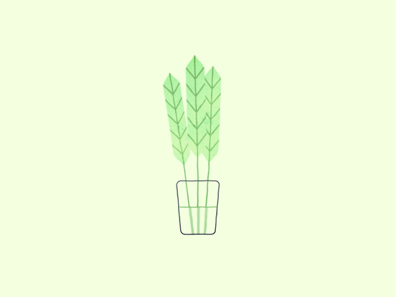 A Plant 2.5d ae animation app colors flat illustration loop motion wiggle