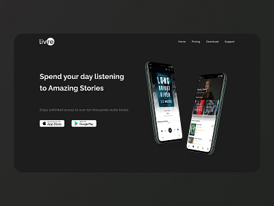 Hero Section: Landing Page