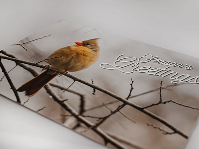 put a bird on it | corporate holiday card design photo editing print typography