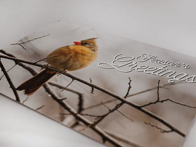 put a bird on it | corporate holiday card