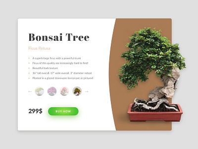 Bonsai bonsai diffuse flat interface product card shadow ui