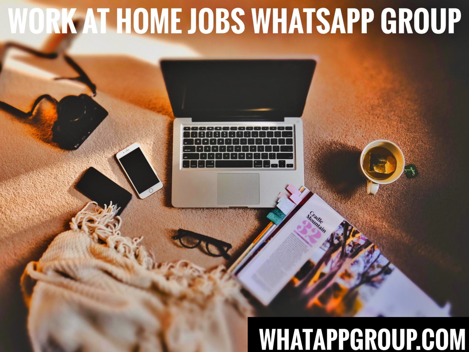 Government Jobs Whatsapp Group Link: Get Latest Government Job Alerts On  WhatsApp