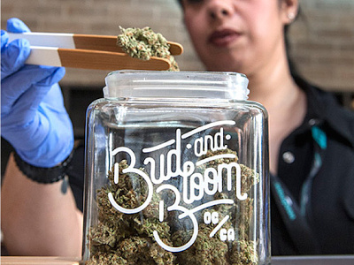 Bud and Bloom branding california design identity lettering logo logotype marijuana typography weed