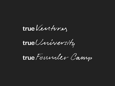 True Ventures branding graphic identity lettering logo logotype type typography vector