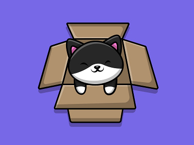 Cute Cat Play In Box funny