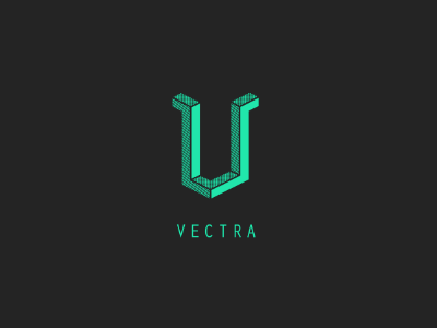 Vectra Construction Identity