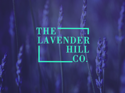 The Lavender Hill Co. brand contrast florist fun colourful identity logo mint pattern