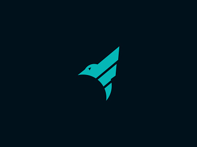 F+ Fly logo design