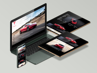 Tesla concept web design