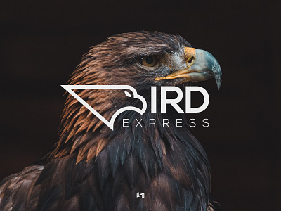 Bird Express animal bird bird logo branding design eagle graphicdesign illustrator lettermark logo logodesigner minimalist typography wordmark