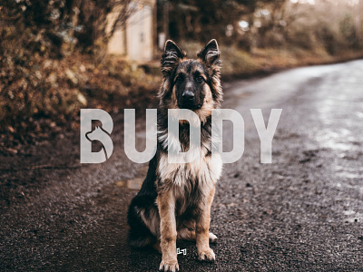 BUDDY adobe animal branding buddy dog graphicdesign icon illustration letter lettermark lettermarklogo logo logodesign logodesigner minimalist typography wordmark
