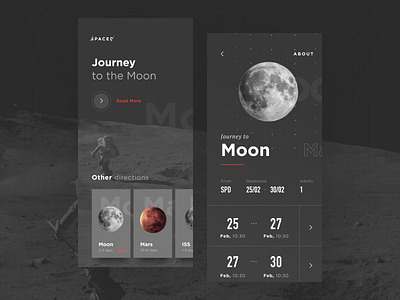 Booking App app booking cards dates moon planets space spacedchallenge tickets travel ui ux