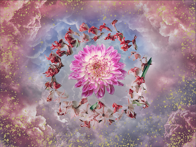 Flower Clouds collage design graphic design illustration photoshop ui