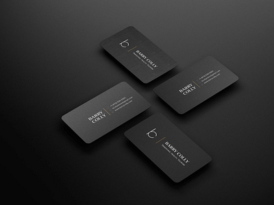Business Card Design brand identity branding business card design design graphic design visual identity design
