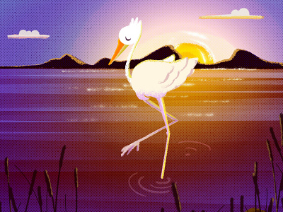 The last sunbeam golden hour heron illustration