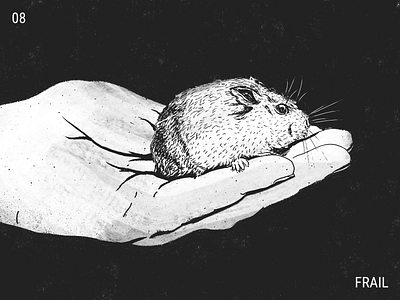 Inktober / 08 - Frail dwarfhamster frail hamster hand illustration inktober inktober2019