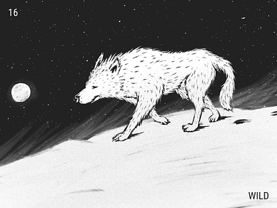 Inktober / 16 - Wild inktober inktober2019 procreate siberia snow wild wolf