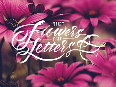 Flowers & Letters beauty brushtype flower flowers handletters lettering letters pink