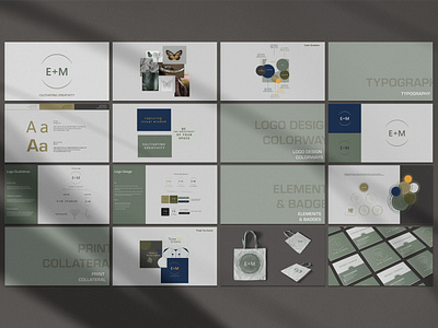 Brand Identity