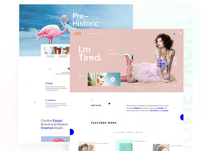 Protfolio Webite Design