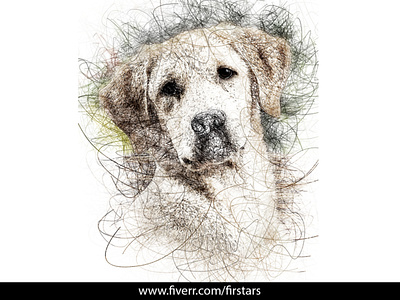 Scribble Art Sketch Pet portrait