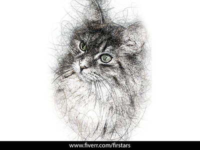 Scribble Sketch Cat pet portrait
