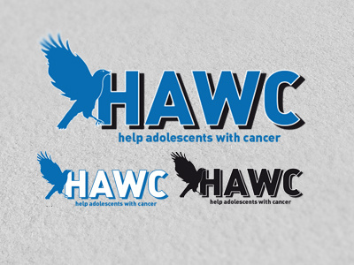 HAWC - Unused charity logo concept bird charity hawc hawk