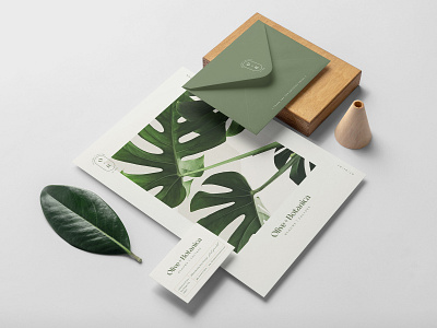 Olive+Botanica Stationery blooms brand brand design brandidentity branding businesscard catalog catalog design foliage plant plant lady plant shop stationery stationery set typogaphy