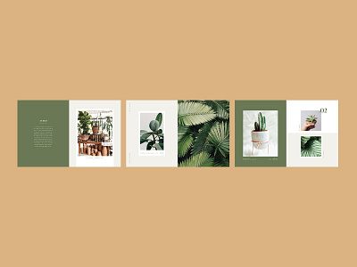 Olive+Botanica Catalog