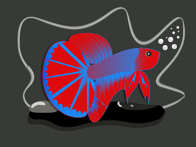 Bettafish Illustration bettafish design icon illustration logo logodesign vector