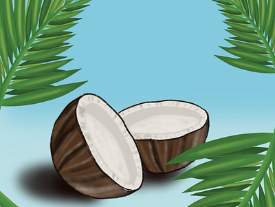 Coconut blue branding coconut design illustration minimal