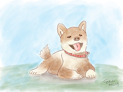 Shiba Inu Doodling dog doogle drawing ipad