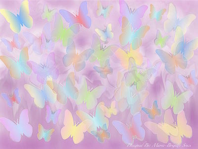 Papillon design graphic