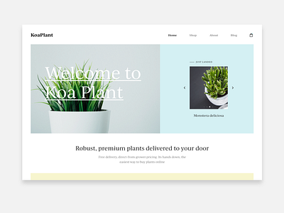 Koa Plant Homepage Design design ui ux