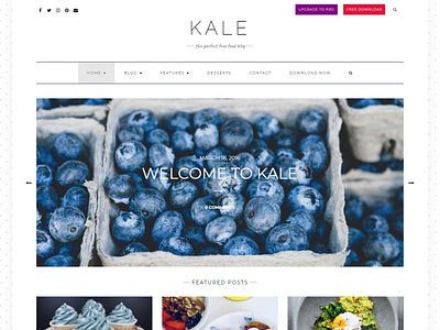 Best Free WordPress Themes for Food Blogs 2021