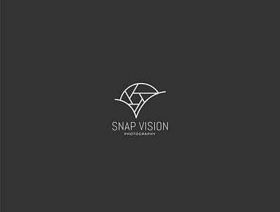 Snap Vision vector