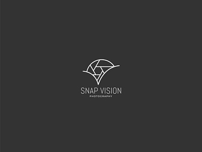 Snap Vision