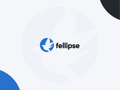 Fellipse vector