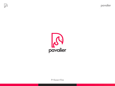 Pavalier vector 3d: