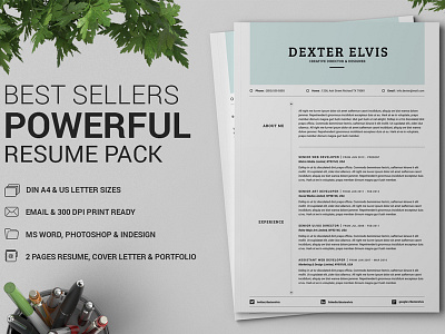 Best Sellers 2 Pages Powerful Resume CV 2 page ms word resume 2 pages resume cover letter diy resume template elegent hipster resume mens resume microsoft pro resume reference letter word resume