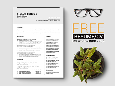 Free Timeless Resume CV with US Letter & A4
