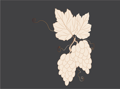 Georgian pitcher wine design illustration vector